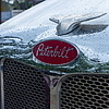 VikingWhite2-322